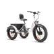 ZT-80A Trailer - Elektrický trojkolesový bicykel